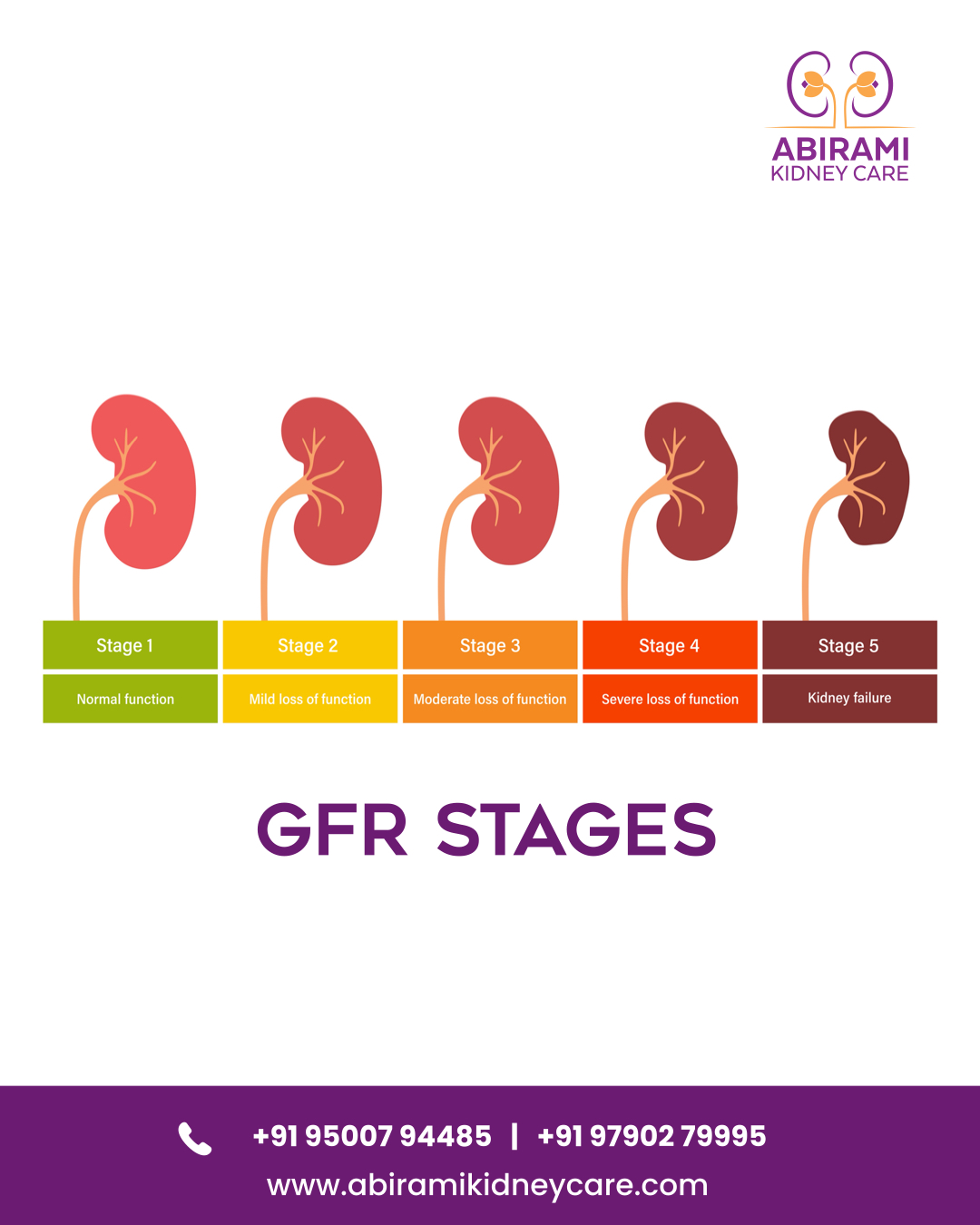 Kidney Image